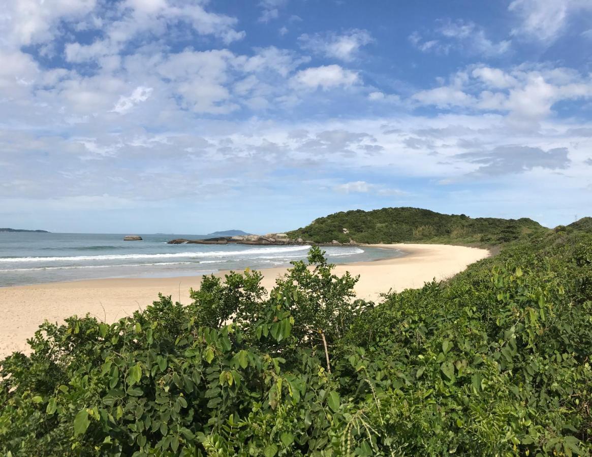 De Quatro Ilhas A 50 Metros Do Mar